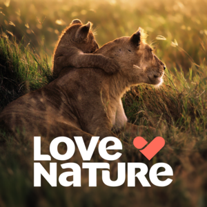 Love Nature