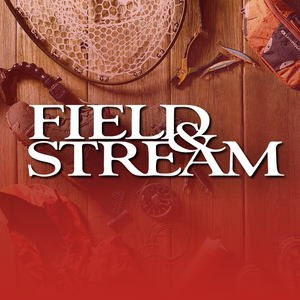 Field & Stream