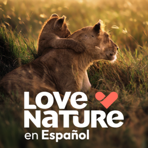 Love Nature en Español
