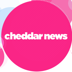 Cheddar