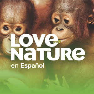 Love Nature en Español
