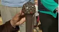 Antiques Roadshow
