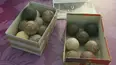 Antiques Roadshow