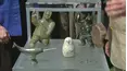 Antiques Roadshow