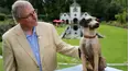 Antiques Roadshow