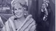The Beverly Hillbillies