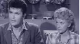 The Beverly Hillbillies