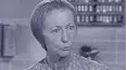 The Beverly Hillbillies