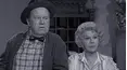 Petticoat Junction
