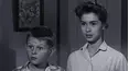 The Real McCoys