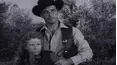 The Texan