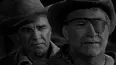 Wagon Train