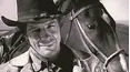 Wagon Train