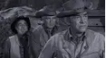 Wagon Train