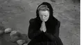 Wagon Train