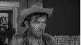 Wagon Train