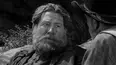 Wagon Train
