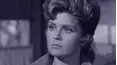 The Rifleman