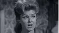 The Rifleman