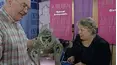 Antiques Roadshow