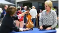 Antiques Roadshow
