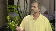 Antiques Roadshow