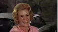 The Doris Day Show