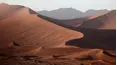 Forces of the Wild: A "Nature" Miniseries
