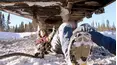 Ice Road Truckers