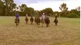 McLeod's Daughters