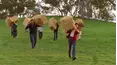 McLeod's Daughters