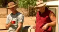 McLeod's Daughters