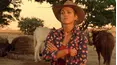 McLeod's Daughters