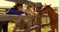 McLeod's Daughters