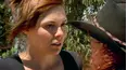 McLeod's Daughters