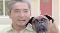 Dog Whisperer