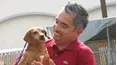 Dog Whisperer
