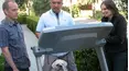 Dog Whisperer