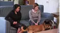 Dog Whisperer