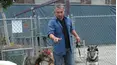 Dog Whisperer