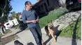 Dog Whisperer