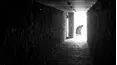 Ghostly Encounters