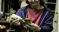 Funniest Pets & People