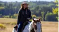 Heartland