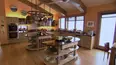 World's Greenest Homes