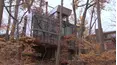 World's Greenest Homes