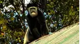 Ol Pejeta Diaries