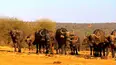 Ol Pejeta Diaries
