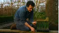 Gardeners' World