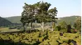 Gardeners' World